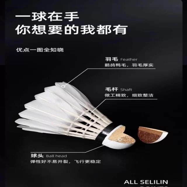 训练备战新闻聚焦:阵容视角全新解读